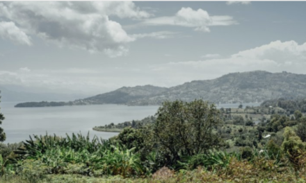 RDC : l’île d’Idjwi, la petite perle des Grands lacs