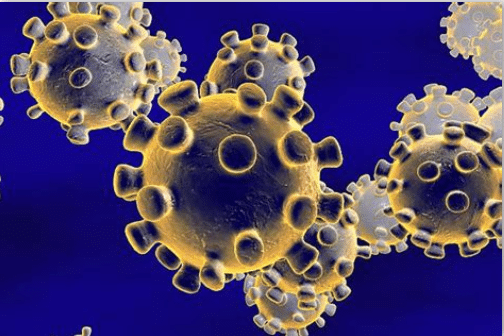 Appel urgent : IL EST TEMPS de nous mettre debout pour prévenir et vaincre le Coronavirus