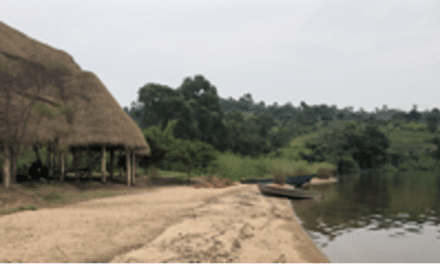 Un projet éco-féministe en RDC : l’Eco-Centre des Grands Lacs