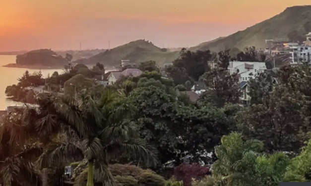 Du 1er au 30 mars 2026 – Campagne “mois vert”  appuyée par la Coopération suisse